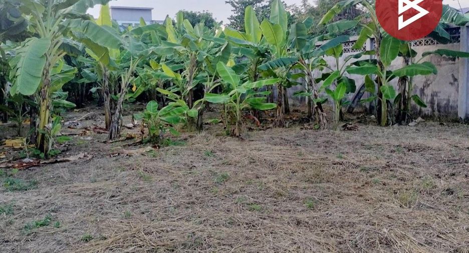 For sale land in Mueang Phitsanulok, Phitsanulok