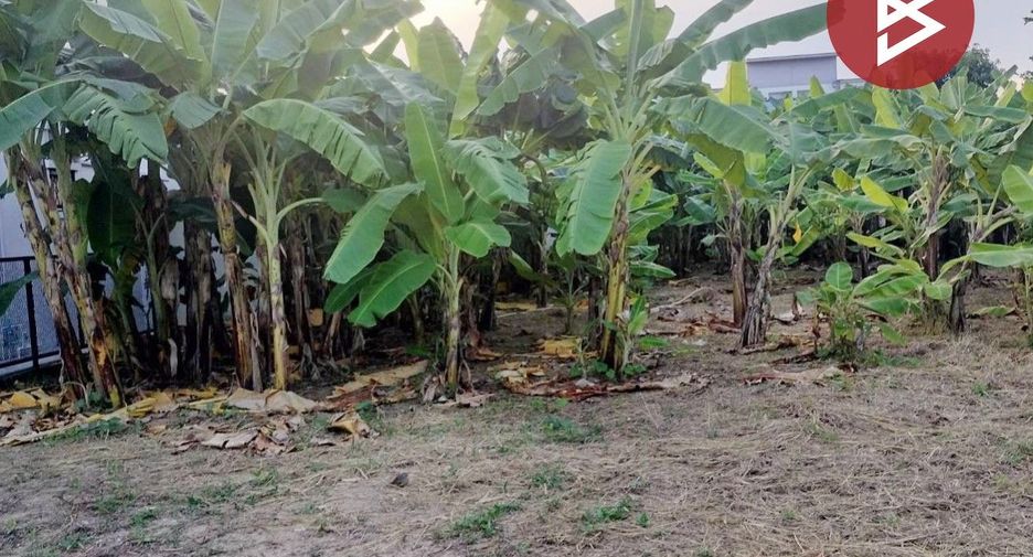 For sale land in Mueang Phitsanulok, Phitsanulok