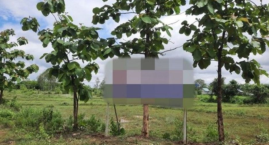 Terreno en venta en Mueang Bung Kan, Bueng Kan