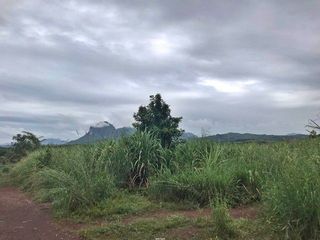 ขาย ที่ดิน ใน เมืองเลย, เลย