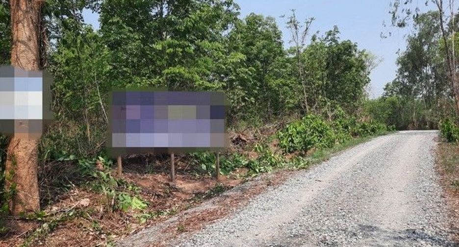 For sale land in Mueang Loei, Loei
