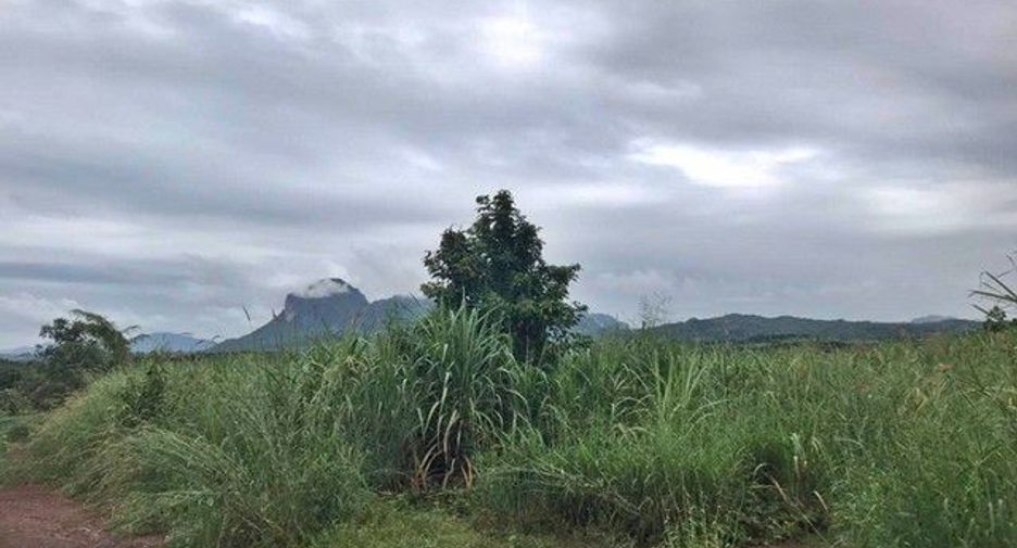 For sale land in Mueang Loei, Loei