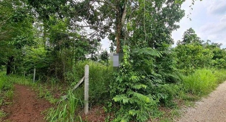 For sale land in Mueang Loei, Loei