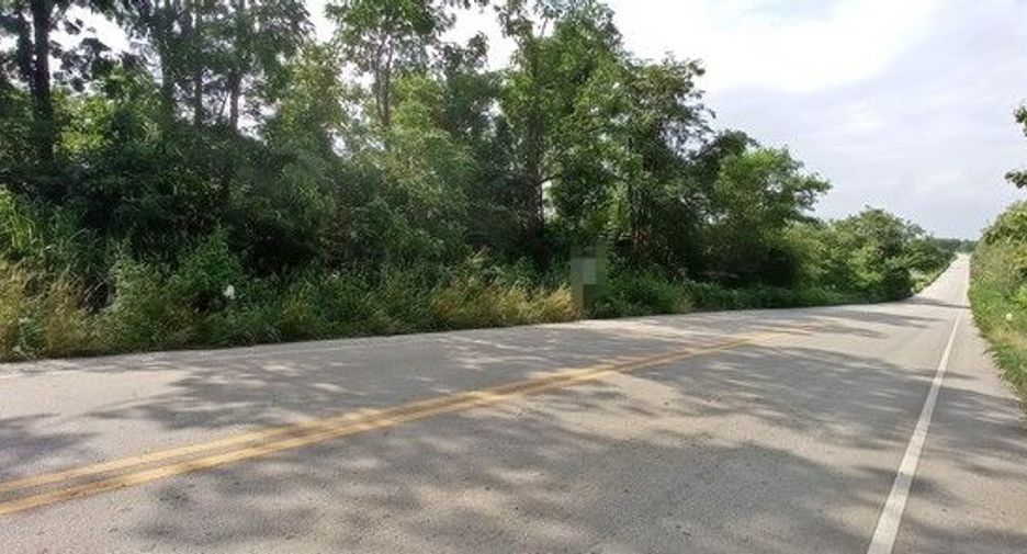For sale land in Mueang Loei, Loei