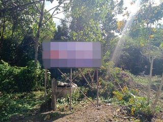 出售 土地 在 Mueang Trang, Trang