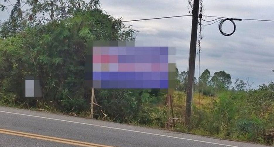 For sale land in Mueang Nongbua Lamphu, Nong Bua Lamphu