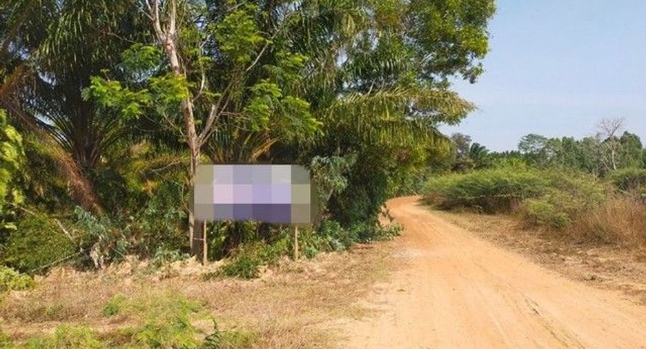 For sale land in Sanom, Surin