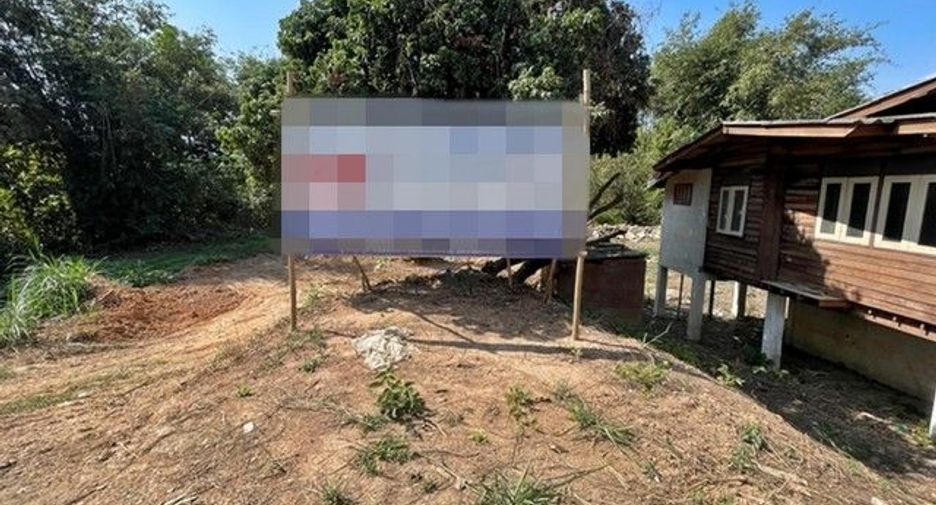 For sale land in Samoeng, Chiang Mai