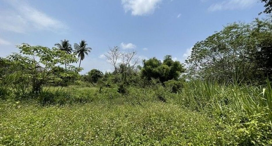 For sale land in Samoeng, Chiang Mai