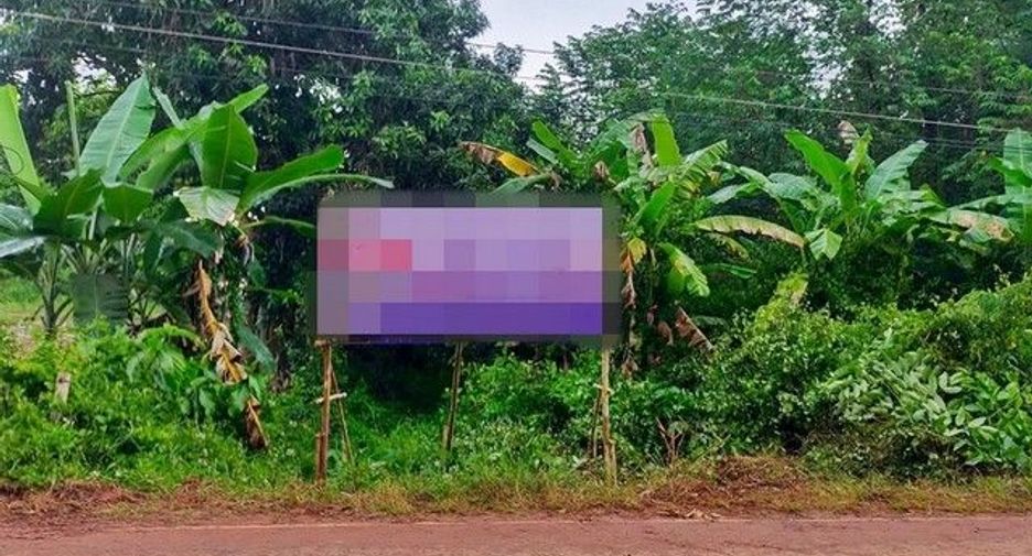 For sale land in Phon Sawan, Nakhon Phanom