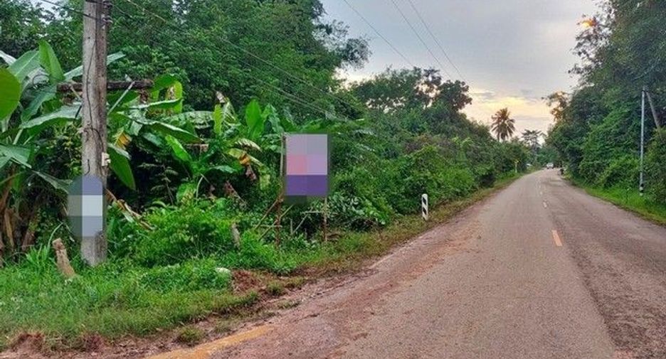 For sale land in Phon Sawan, Nakhon Phanom