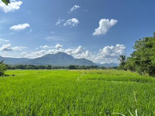 出售 土地 在 Mae On, Chiang Mai