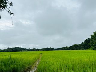 出售 土地 在 Mae On, Chiang Mai