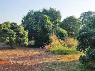 Продажа Участок в Phrao, Чианг Маи