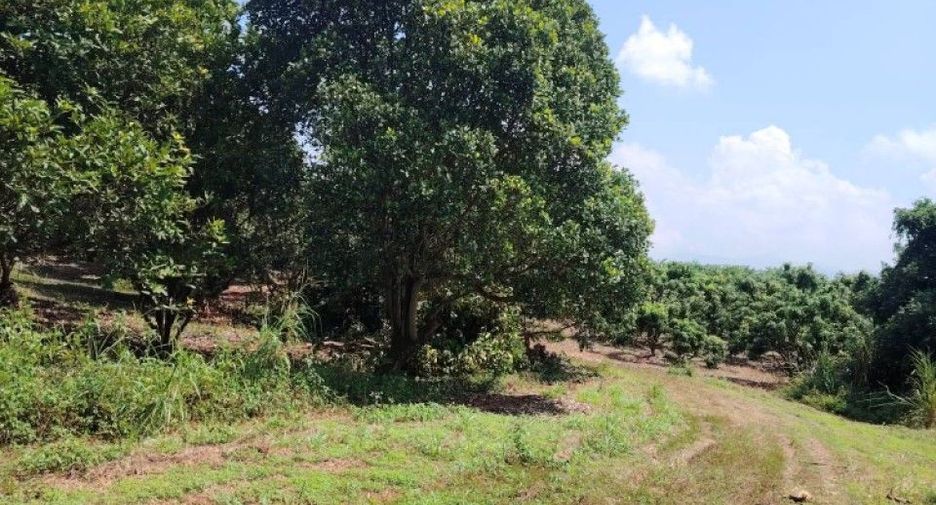 Terreno en venta en Phrao, Chiang Mai