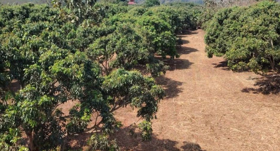 Terreno en venta en Phrao, Chiang Mai