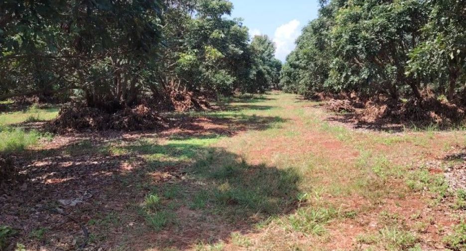 Terreno en venta en Phrao, Chiang Mai
