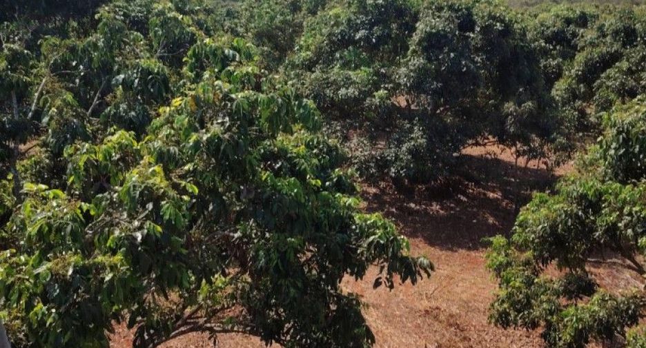 Terreno en venta en Phrao, Chiang Mai