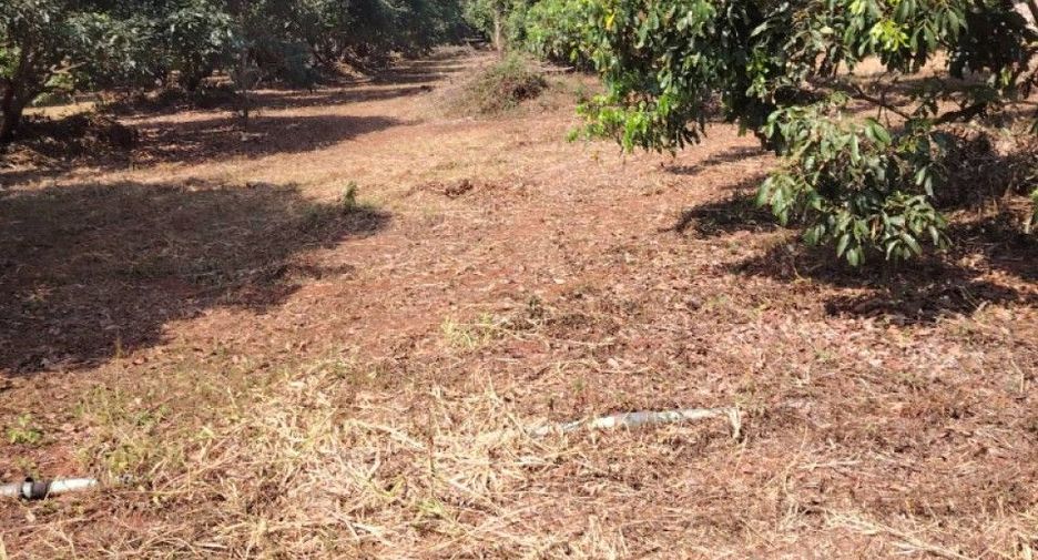 Terreno en venta en Phrao, Chiang Mai
