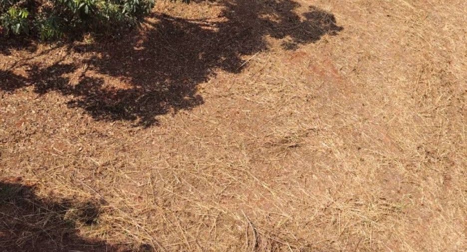 Terreno en venta en Phrao, Chiang Mai