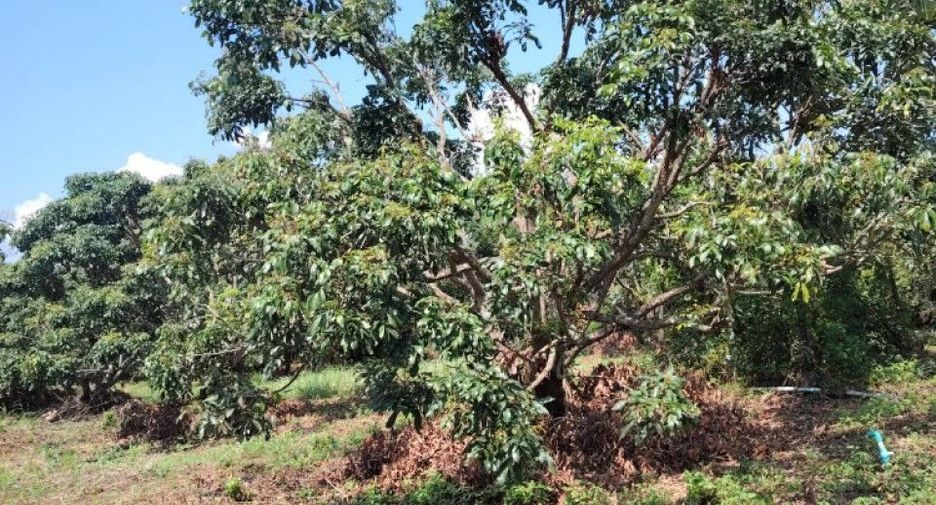 Terreno en venta en Phrao, Chiang Mai