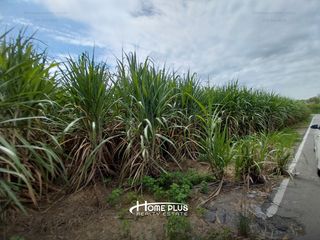 For sale land in Kamphaeng Saen, Nakhon Pathom