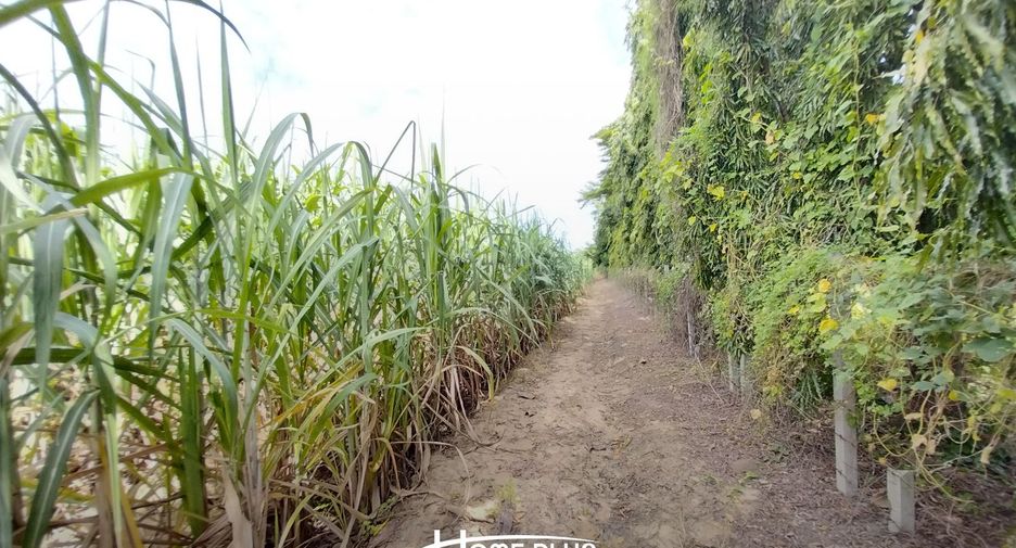 À vendre terrain à Kamphaeng Saen, Nakhon Pathom