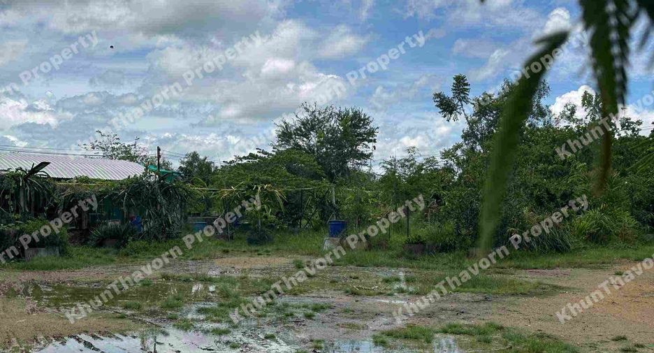 For sale 2 bedrooms warehouse in Ban Laem, Phetchaburi
