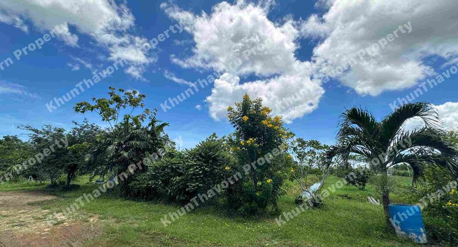 For sale 2 bedrooms warehouse in Ban Laem, Phetchaburi