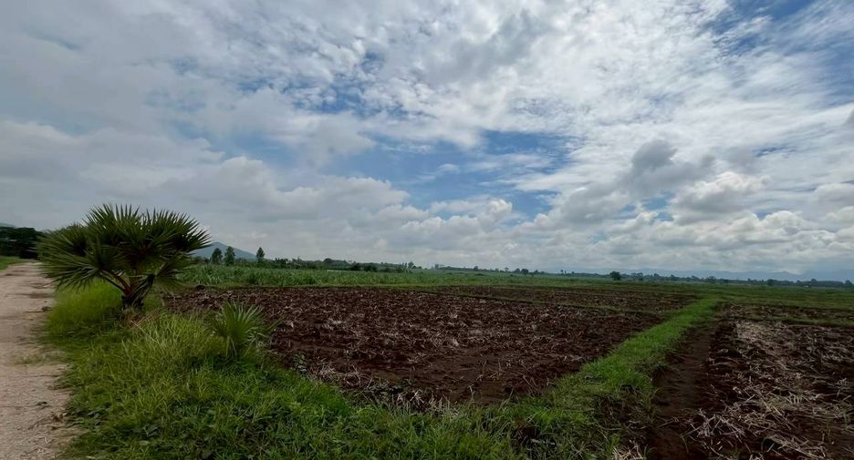 ขาย ที่ดิน ใน แม่สอด, ตาก