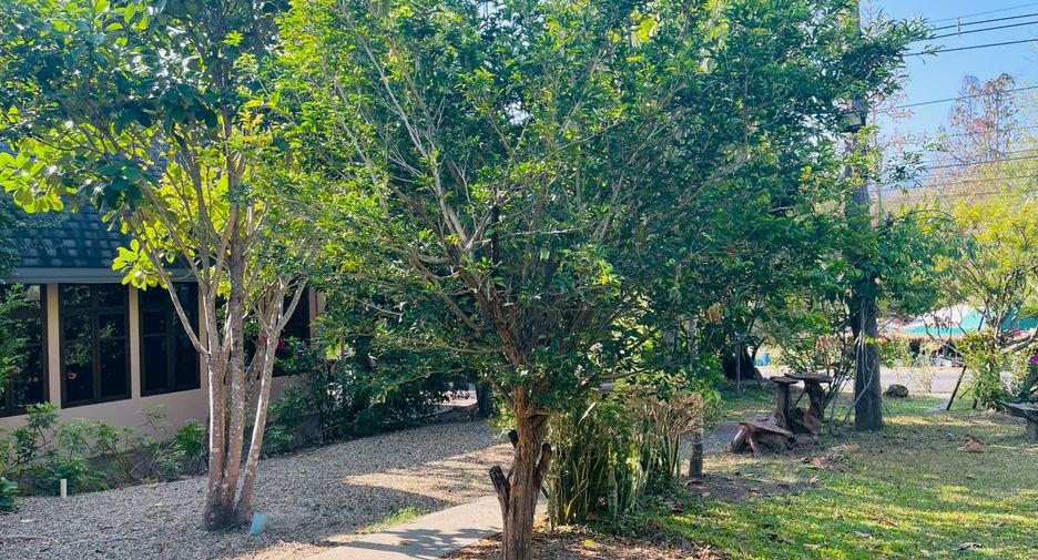 For sale 4 bedrooms retail Space in Mae Rim, Chiang Mai