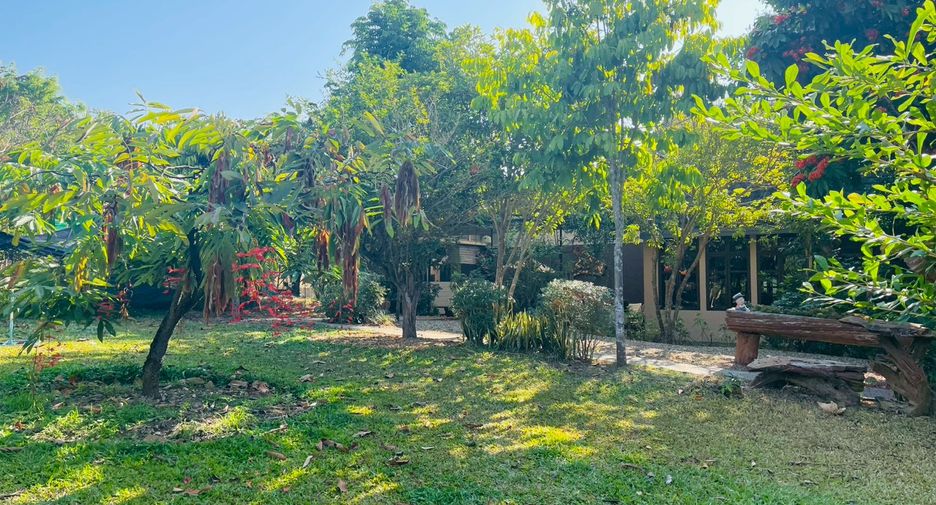 For sale 4 bedrooms retail Space in Mae Rim, Chiang Mai