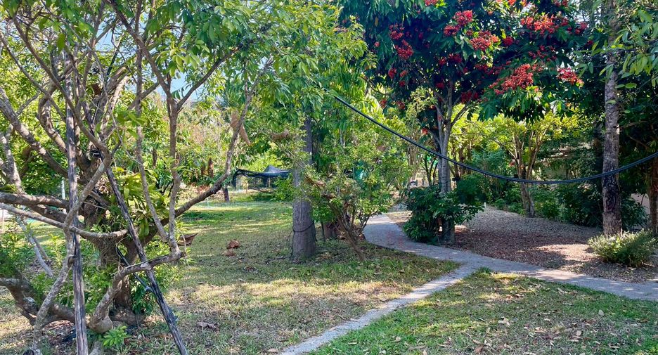 For sale 4 bedrooms retail Space in Mae Rim, Chiang Mai