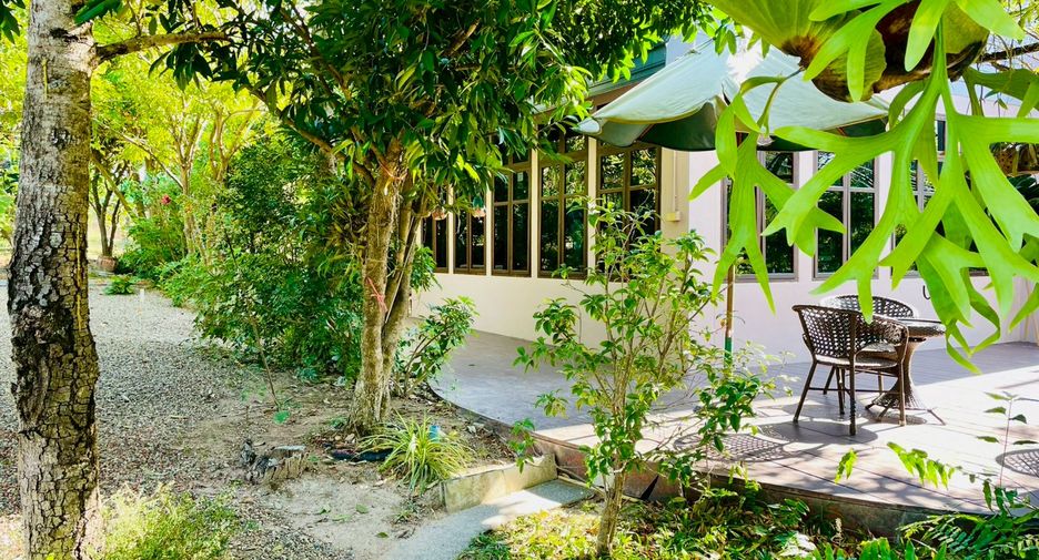 For sale 4 bedrooms retail Space in Mae Rim, Chiang Mai