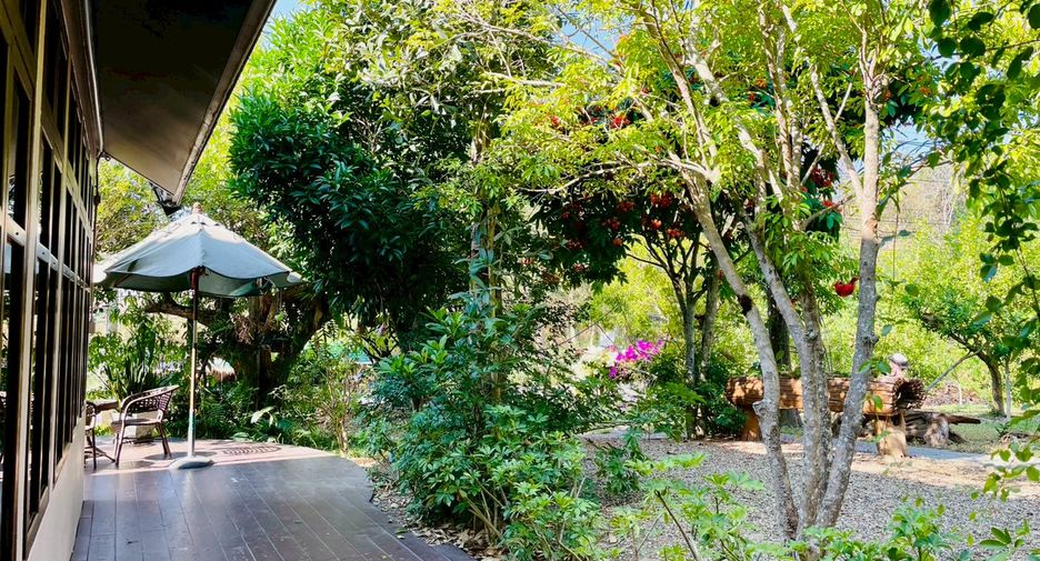 For sale 4 bedrooms retail Space in Mae Rim, Chiang Mai