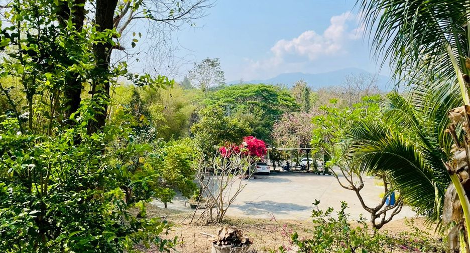 For sale 4 bedrooms retail Space in Mae Rim, Chiang Mai
