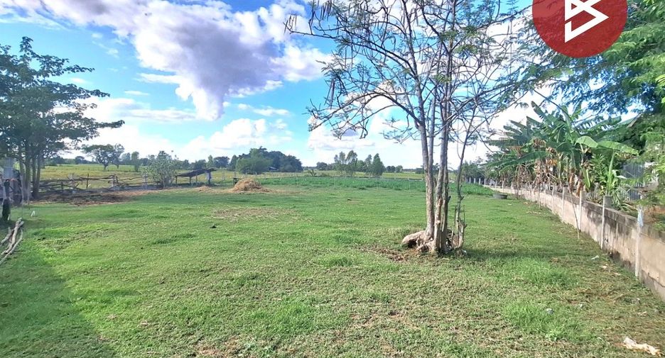 For sale land in Phayakkhaphum Phisai, Maha Sarakham