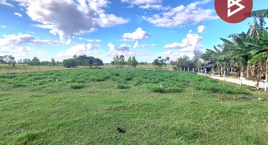 For sale land in Phayakkhaphum Phisai, Maha Sarakham