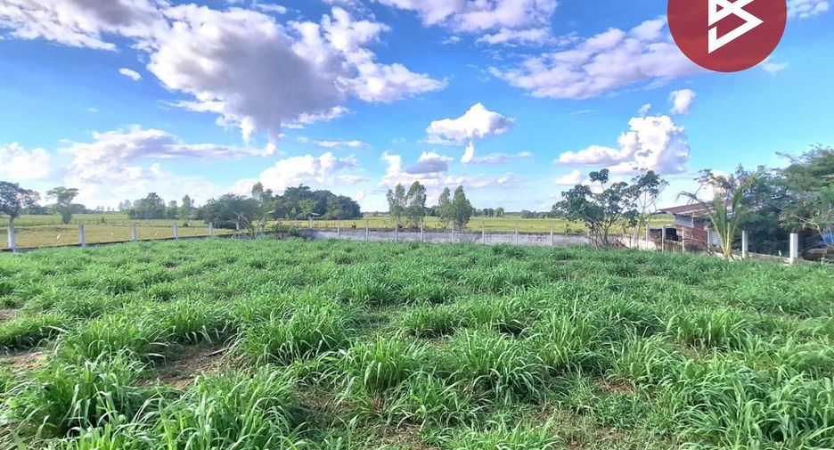 For sale land in Phayakkhaphum Phisai, Maha Sarakham