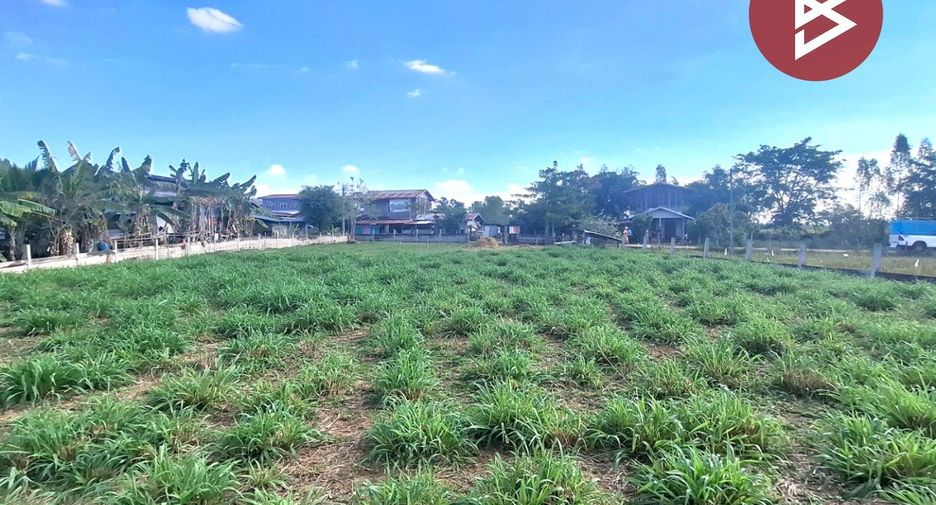 For sale land in Phayakkhaphum Phisai, Maha Sarakham