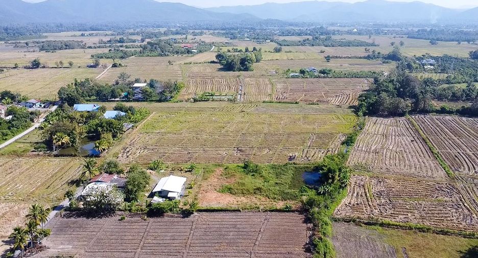 À vendre terrain à Doi Saket, Chiang Mai