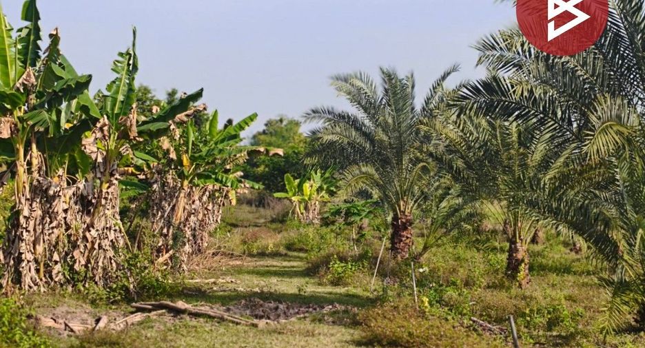 Terreno en venta en Lom Sak, Phetchabun