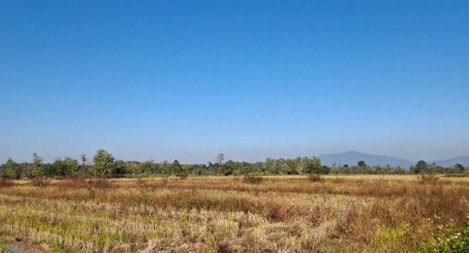Terreno en venta en Thoeng, Chiang Rai