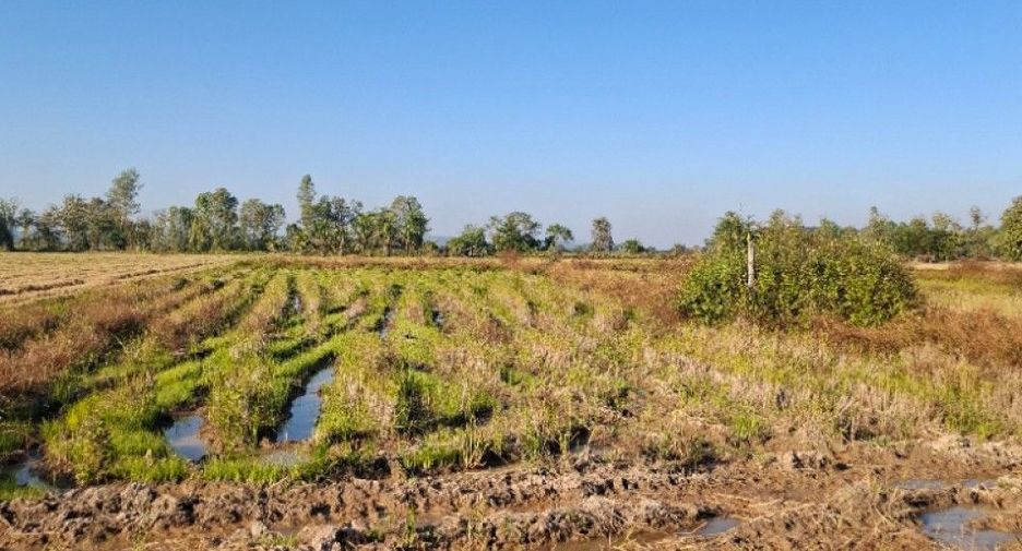 Terreno en venta en Thoeng, Chiang Rai
