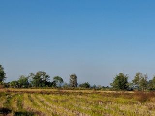 ขาย ที่ดิน ใน เทิง, เชียงราย
