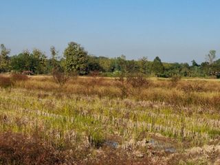 ขาย ที่ดิน ใน เทิง, เชียงราย