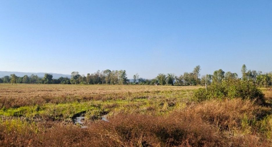 Terreno en venta en Thoeng, Chiang Rai