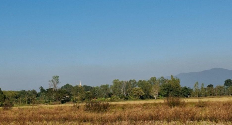 Terreno en venta en Thoeng, Chiang Rai
