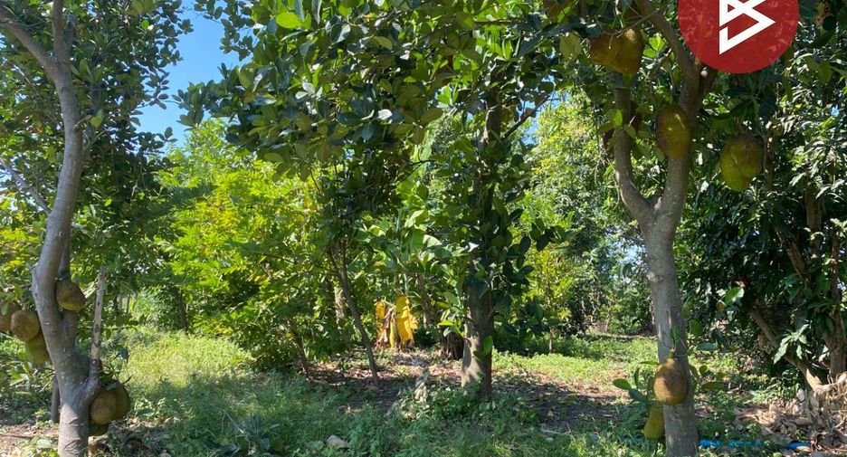 For sale land in Tha Ruea, Phra Nakhon Si Ayutthaya
