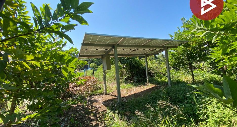 For sale land in Tha Ruea, Phra Nakhon Si Ayutthaya